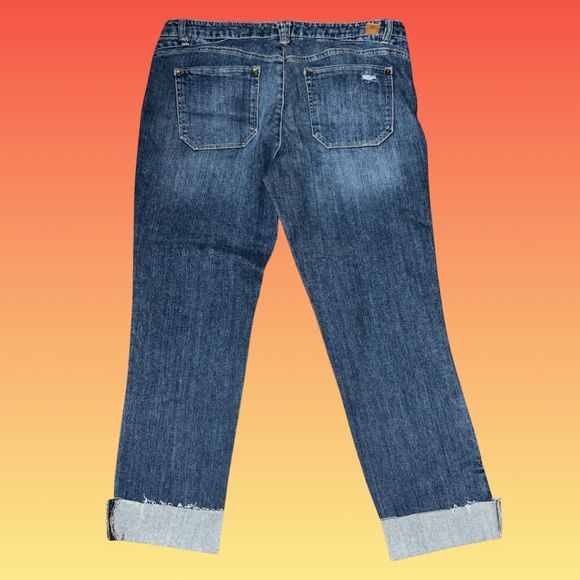 NWT Plus Size Democracy Flex-ellant Girlfriend Embroidered Cuffed Jeans 14W #127 - Picture 3 of 14